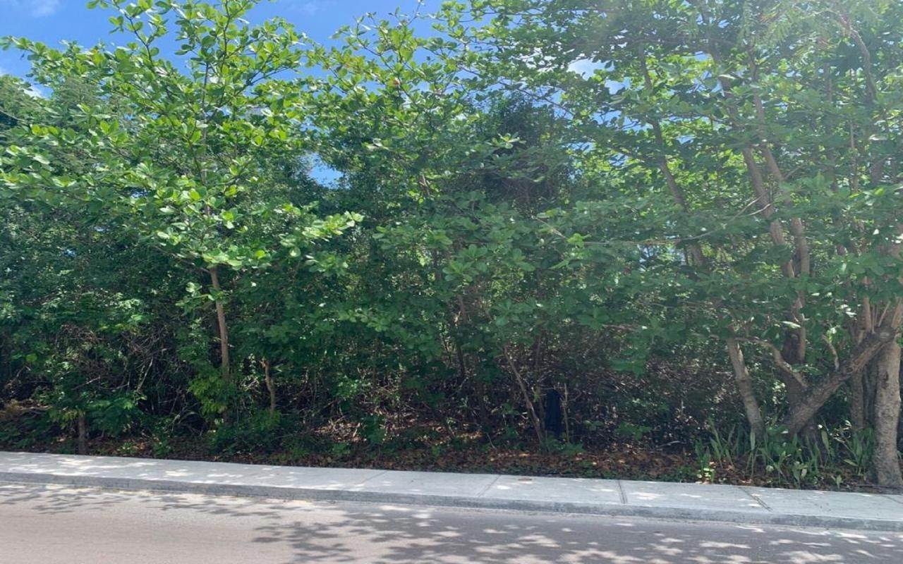 Land for Sale at Prince Charles Drive, Nassau and Paradise Island Bahamas